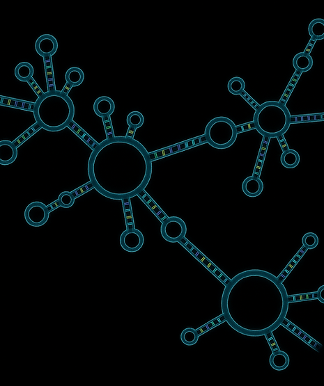 ChatGPT Image Jul 6, 2025 at 02_28_07 PM.png