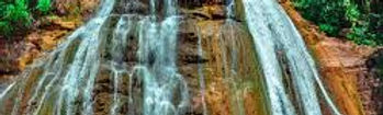 SELVA 2.jpg