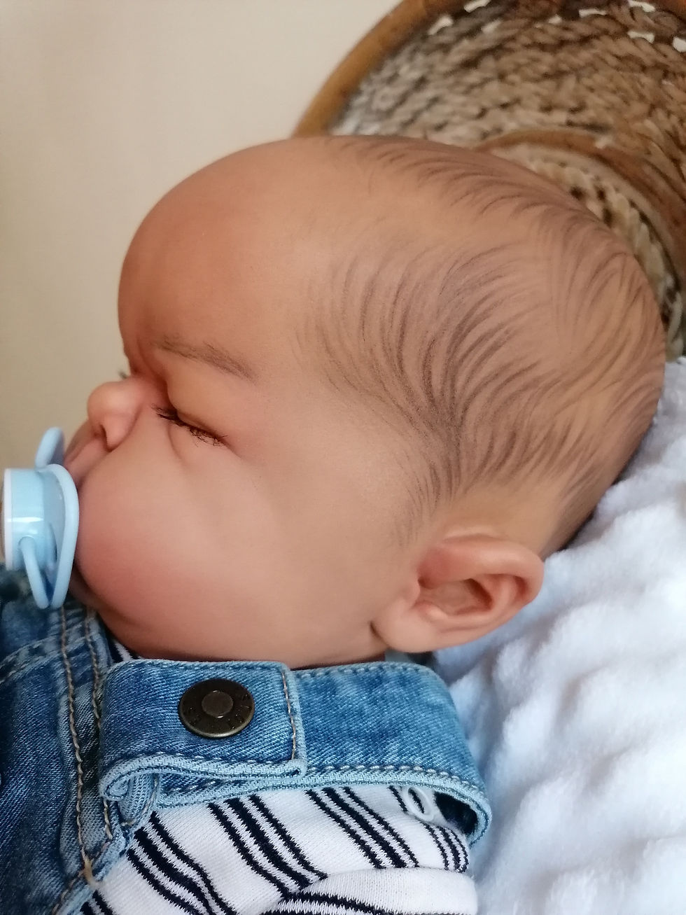 Thumbnail: Nino ( Dwarf baby)