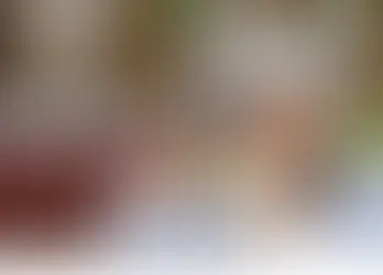 Turning Old Photos into New Memories: Creating a Memory Album