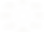 Diagramme mission mycosphaera.png