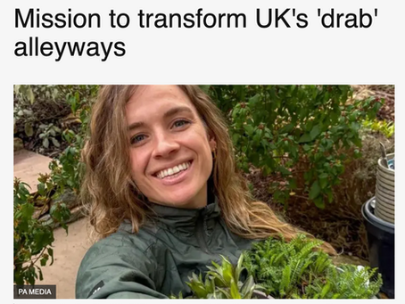 BBC News – Pollinator Pathways Project