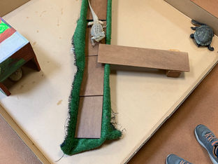 The Turtle Project Part 2 - Building a Turtle Enclosure
