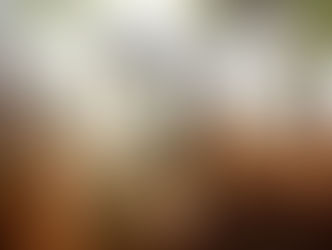 Wombeya - Aboriginal Welcome Song