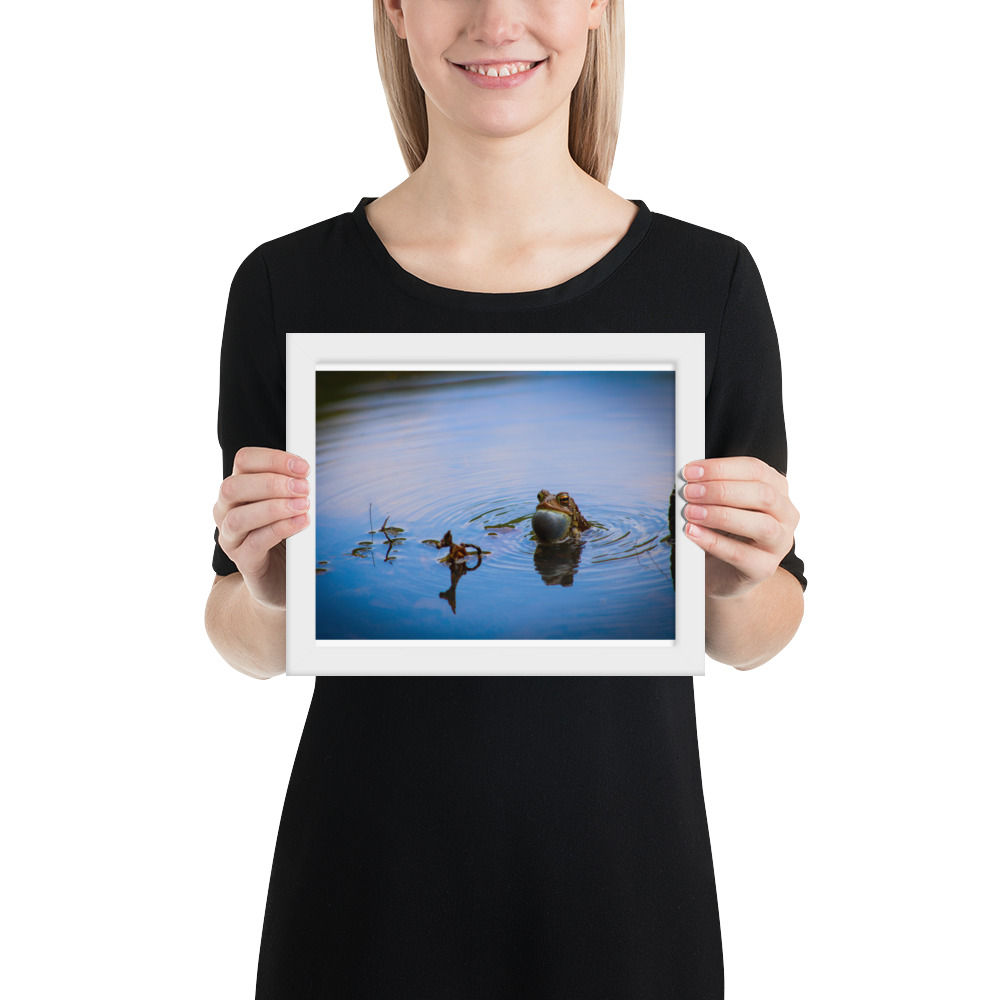 Framed Vocalizing American Toad poster