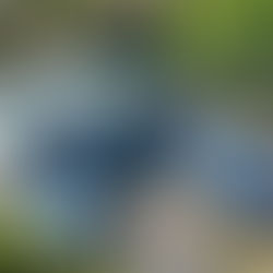 برگزاری نمایشگاه کتاب فارسی بریزبن