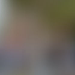 همبستگی ایرانی ها و اوکراینی ها