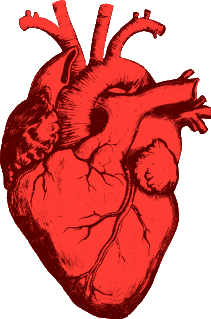 human-heart-images-29.gif