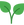 plant.png