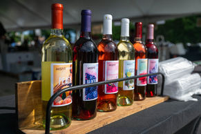 A row of wine bottles