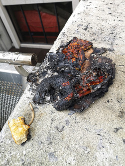 CARBONADO