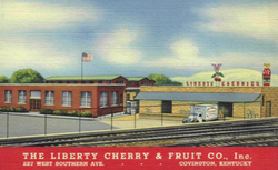 Screen Shot 2019-07-04 at 12.16.47 AM