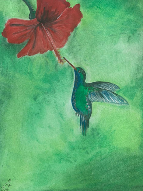 Hummingbird