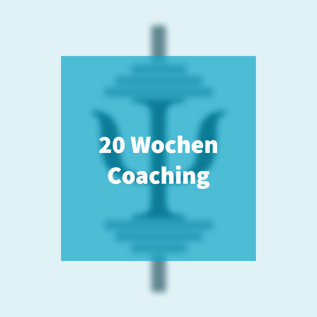 20 Wochen Coaching