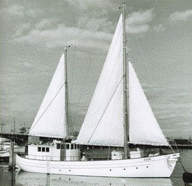 The Saori (courtesy of Garry Keywood)