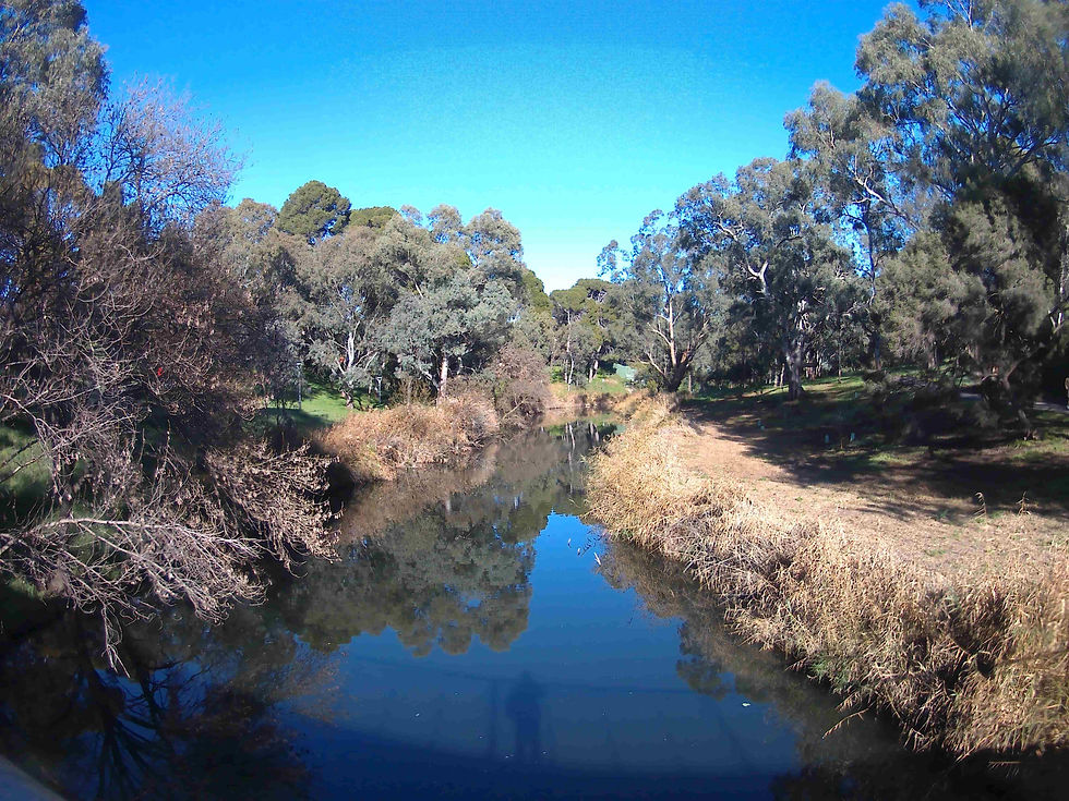 The River Torrens