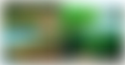 সুন্দরবন : প্রকৃতির এক অপার বিস্ময়