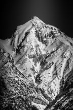 SeefeldMountainTop5WM.jpg