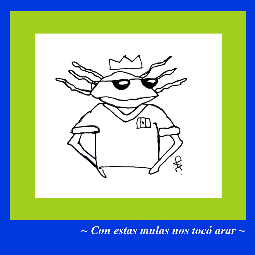 Con estas mulas nos tocó arar