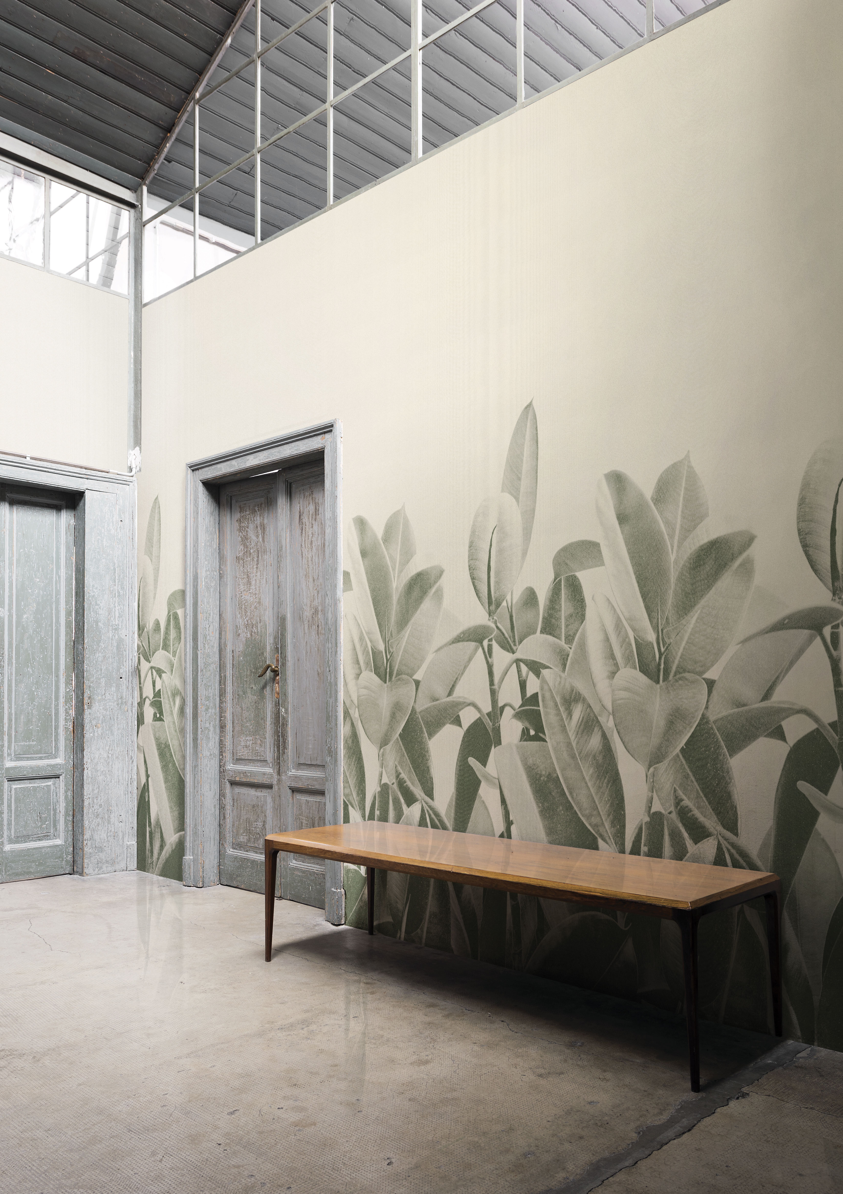 Londonart 18056 Rubber Plant - Francesca Besso