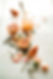 Happy-Wholistic-Wellness-Center-102.jpg