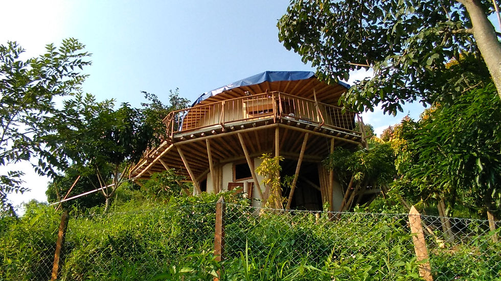 Cabañas en guadua (bambú) en Colombia