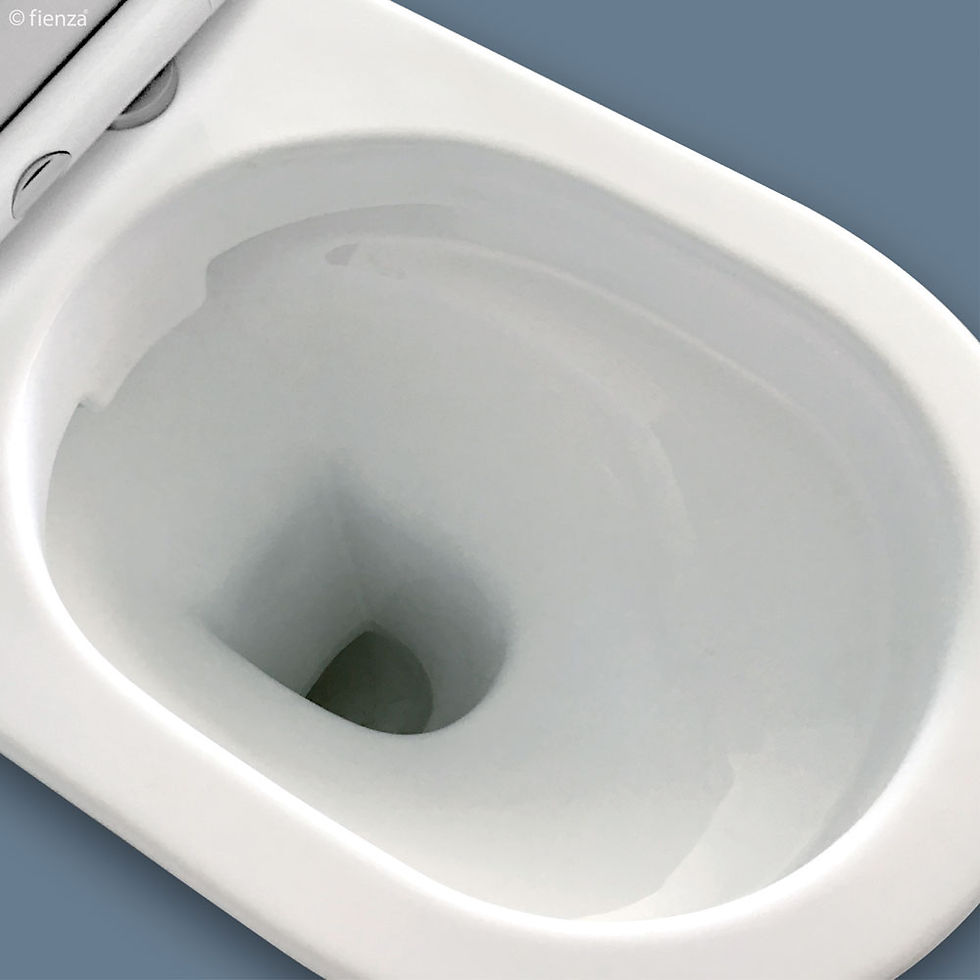 Thumbnail: Fienza Delta Back-to-Wall Toilet Suite