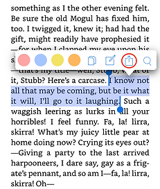 Highlighted text in Kindle app