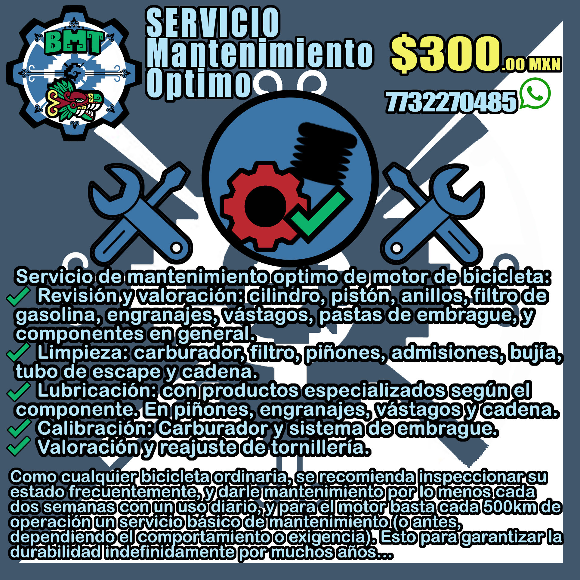 SERVICIO. MANTENIMIENTO OPTIMO DE BICIMOTO 2T