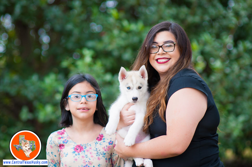 central-texas-husky_austin-siberian-husky-breeder_702574_20171104