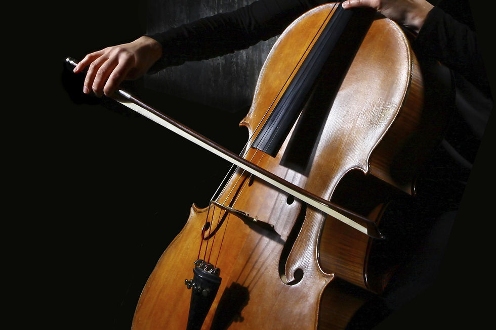 VIOLONCELO