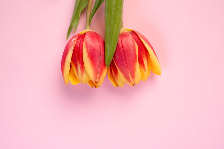 SKU - CS1DEPI23006.jpg