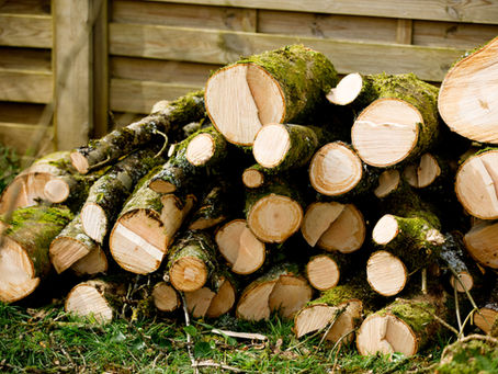 Transform your garden into a fun area for the family!