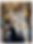 website 5_edited.png
