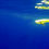 Thumbnail: Black and Blue Fish Downsea Party Skirt a nice Mahi Ate
