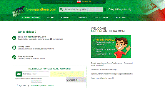 greenpanthera, płatne ankiety, opinie, praca w sieci,