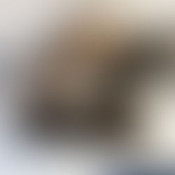 ezinsvriendelijke tentoonstelling Spoordierne voor het Spoorwegmuseum