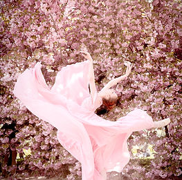 Sara Michelle Murawski