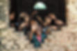 iStock-477437511.jpg