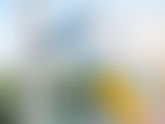 Best Window Cleaning Service Near You in Wexford: A Complete Local Guide