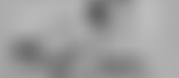 低調而高效  超前卻悠久的百年品牌