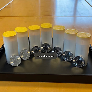 Silbermünzen Tube Maple Leaf 25 mal 1 Unze Silber canadian mint