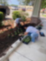 lawn care and grass cutting in Louisiana