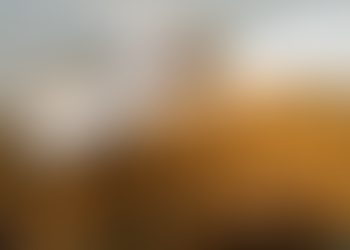 タバコが有害な原因はニコチンではなく〇〇だった！ニコチンは立派な栄養素。　　　（2024年9月26日公開）