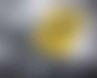 ネットのシャットダウンーオバマのプロデュース映画の余波：怖い話・日本の出生届の謎！