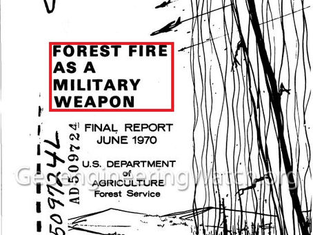 カナダ森林火災は兵器によるもの、気候変動は無関係。