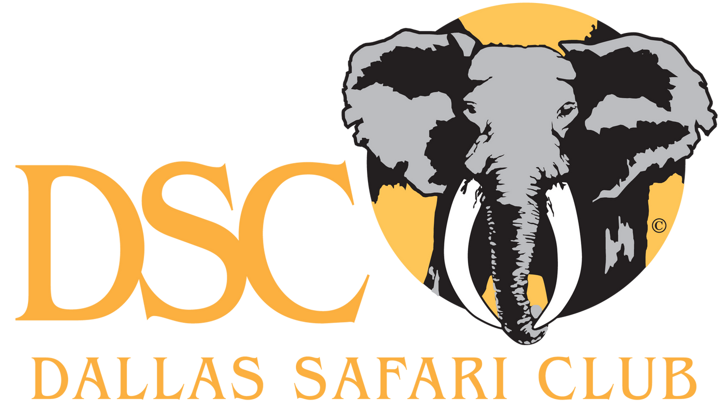 Dallas SC Logo