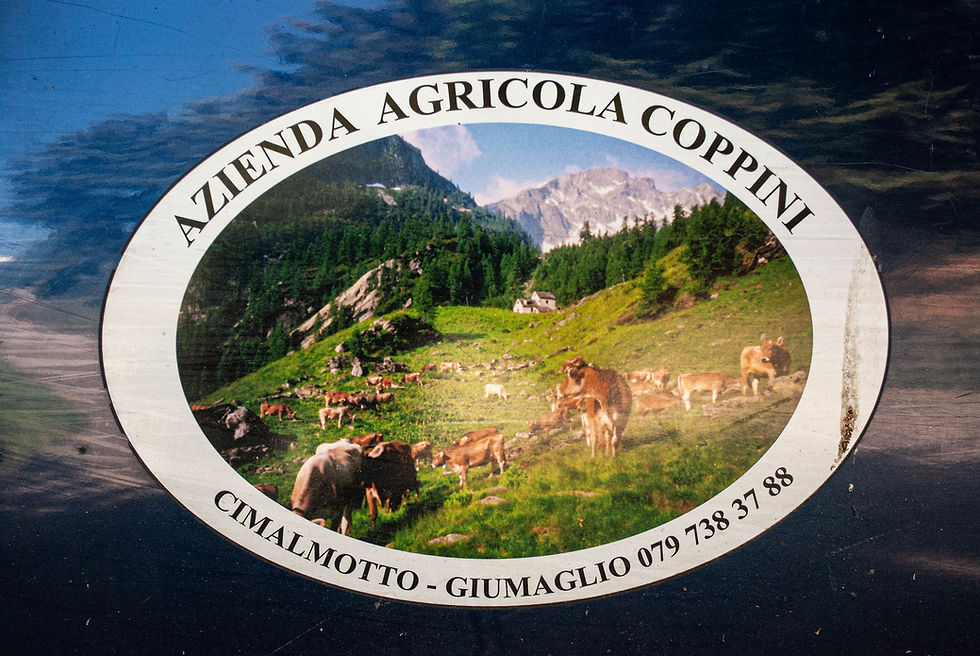 Alpe Sfille - Kleber auf dem Auto von Marzio Coppini