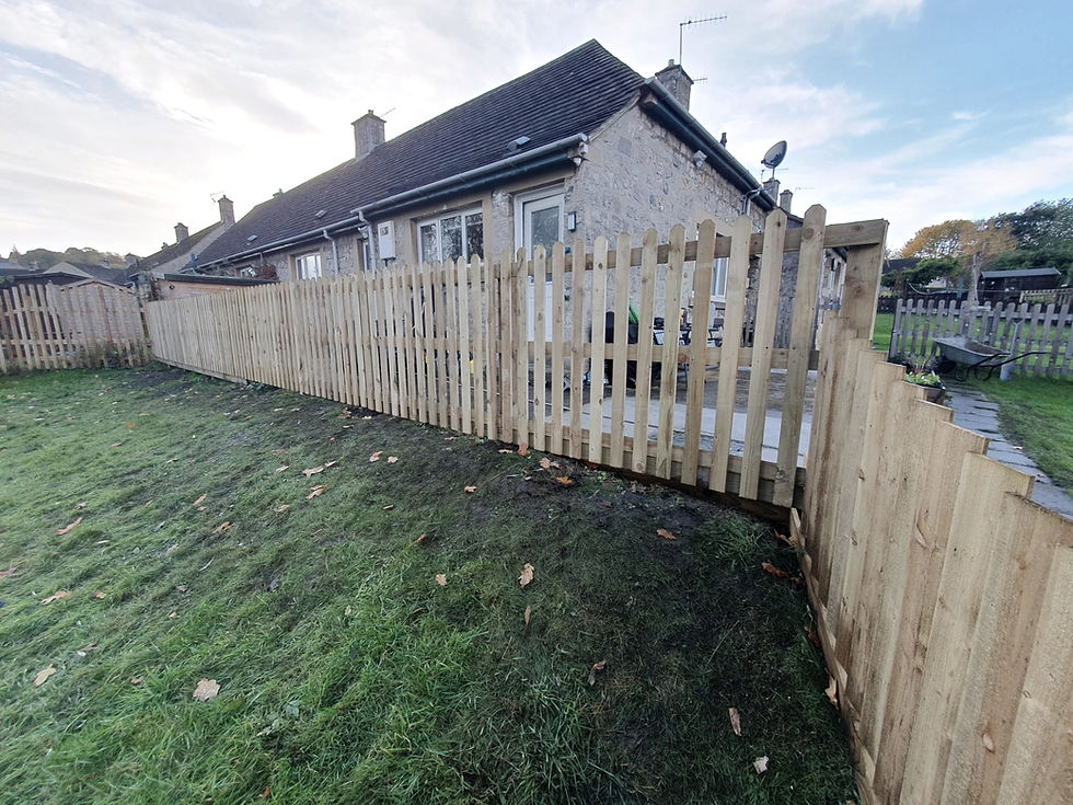 Picket / Feather edge fencing