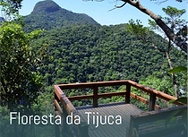 Floresta da Tijuca.png